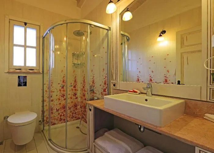 Swan Deluxe 1890 לינה וארוחת בוקר 5*